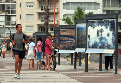 ヤン・アルテュス-ベルトランの屋外写真展、モンテビデオで開催中 - ウルグアイ