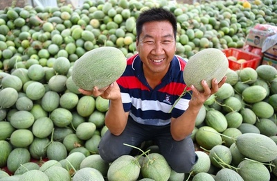 契約農業で収入アップ、安徽省