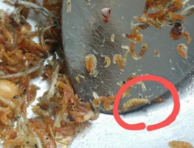 韓国の食卓、炒め物を食べていたら…「絶対に見たくない」多数の異物