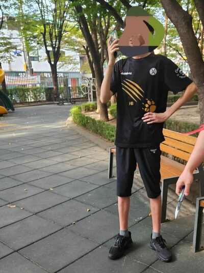 ソウルの公園で中学生がナイフ威嚇…教育当局が生活指導、母親の態度に非難も