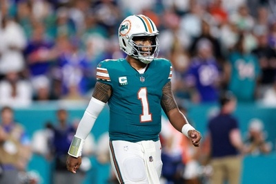 ドルフィンズQBに引退促す声 3度目の脳振とうで健康に懸念