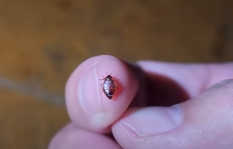 ユーチューブキャプチャー(c)MONEYTODAY