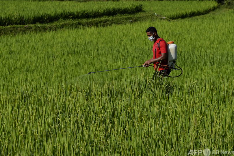 農薬汚染、世界の農地の3分の1に「高い危険性」 豪研究