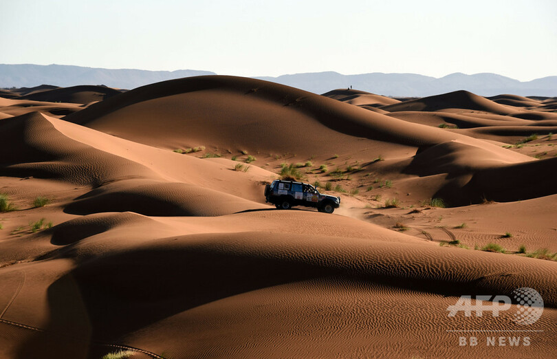 サハラ砂漠に壁を、トランプ氏提案にスペイン外相「どれほど広いか知っているか」