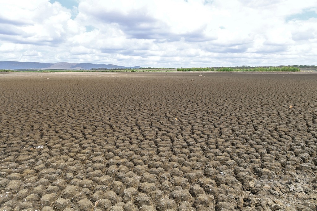 水: ブラジルではますます貴重な資源