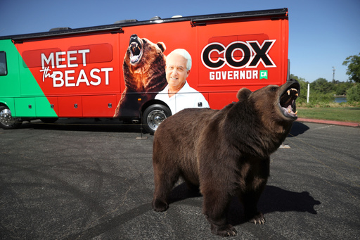 選挙集会にヒグマ登場 州知事候補に非難 米カリフォルニア 写真5枚 国際ニュース Afpbb News