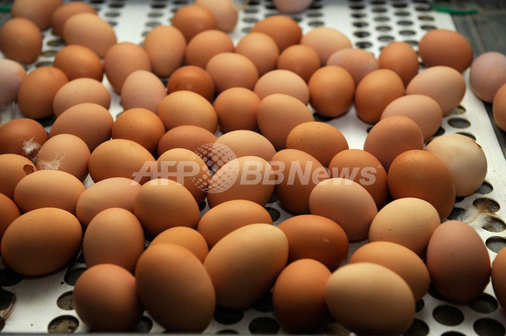 フランスで深刻な卵不足、新EU規定に菓子メーカーら悲鳴 フランスで深刻な卵不足、新EU規定に菓子メーカーら悲鳴