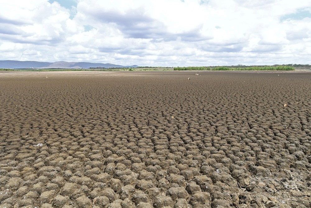 セマデンの分析によると、2024年の干ばつはブラジルで1950年以来最大かつ最も激しいものになる