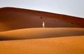 アラブ首長国連邦（UAE）アブダビ東部アルアイン近郊のテラルリゾートで見られた「リーム」と呼ばれるサンドガゼル（2021年1月26日撮影）。(c)Karim SAHIB / AFP