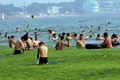 中国東部・山東（Shandong）省青島（Qingdao）の藻が大発生した海岸で海水浴をする人たち。

中国国家海洋局（State Oceanic Administration、SOA）によると、中国近海では1週間前からスジアオノリ（学名：Enteromorpha prolifera）という藻が過去最大規模で大発生しており、これまでに黄海沿岸の2万8900平方キロメートルが藻に覆いつくされた。毒性はなく水質を悪化させることもないが、大量の酸素を消費し硫化水素を生成するため、海洋生態系に極度の不均衡を生じさせる（2013年7月4日撮影）。(c)AFP