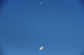 米ニューメキシコ（New Mexico）州に完成した宇宙旅行会社「ヴァージン・ギャラクティック（Virgin Galactic）」の宇宙船発着基地「スペースポート・アメリカ（Spaceport America）」上空を飛行する「ホワイトナイトツー（WhiteKnightTwo）」。有人宇宙船「スペースシップ・ツー（SpaceShipTwo）」を搭載している（2011年10月17日撮影）。(c)AFP/Frederic J. BROWN

&lt;a href=&quot;http://www.afpbb.com/article/environment-science-it/science-technology/2835891/7948037&quot;&gt;&lt;b&gt;この記事の本文を読む&lt;/b&gt;&lt;/a&gt;