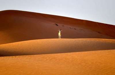 【今日の1枚】逃げないで…出会いの一瞬