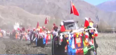 チベットの山南地区で伝統的な開耕儀式