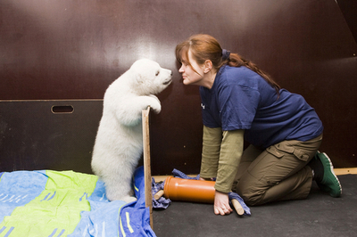 遊び大好きフロッケ、わんぱくモード全開