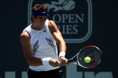 デルポトロ フィッシュ下し決勝進出