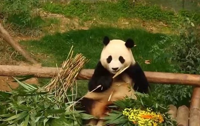 中国、韓国人の「人気の三大海外旅行先」の一つに