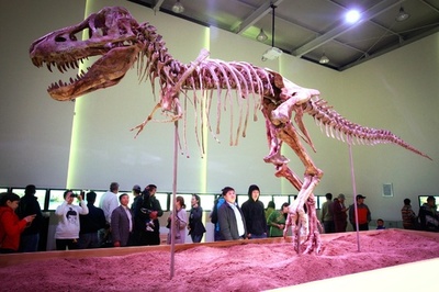 恐竜の化石を密輸した男に禁錮3月 米