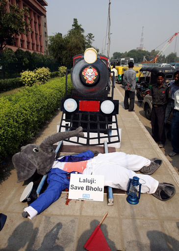 動物愛護団体PETA、野生ゾウの保護を求める抗議活動