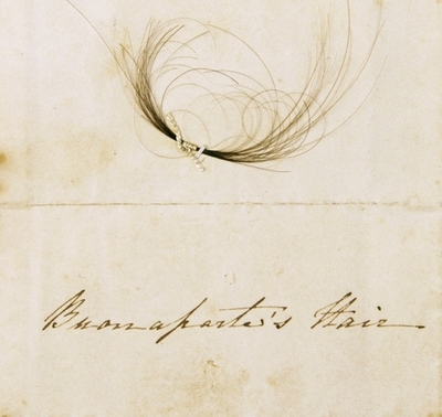 ナポレオンの毛髪、115万円で落札 ニュージーランド