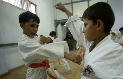 空手パンチの決め手は「腕力」ではなく「脳力」、英研究