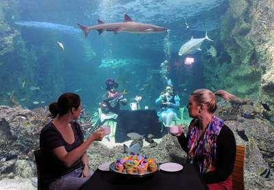 水槽の中でアリスのお茶会、がんのチャリティーイベント