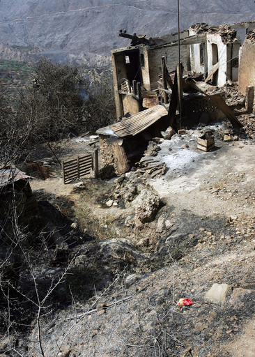 ギリシャの山火事、鎮火に向かう