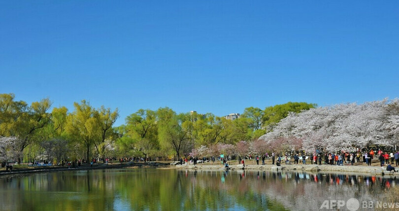 中国の観光市場が急回復