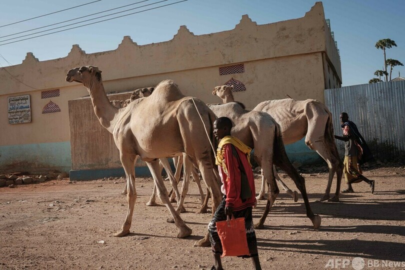 ソマリア、栄養治療施設で子ども730人死亡 ユニセフ