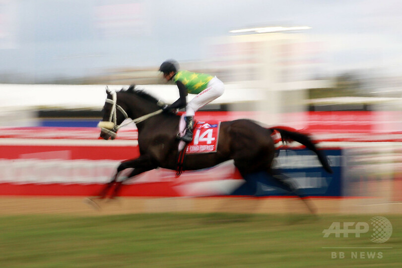 女性騎手がレース中の落馬事故で死亡 ニュージーランド 写真1枚 国際ニュース Afpbb News