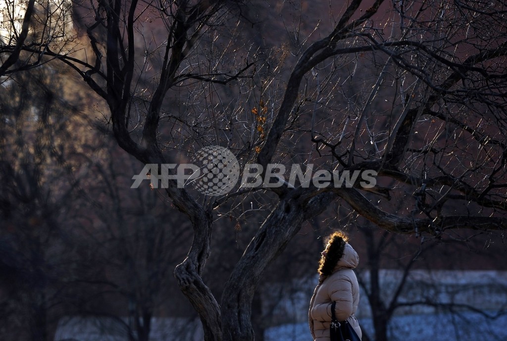 家庭内暴力で1時間に1人の女性が死亡、ロシア 家庭内暴力で1時間に1人の女性が死亡、ロシア