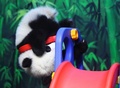 中国広東（Guangdong）省広州（Guangzhou）の動物園、長隆野生動物世界（Chimelong Safari Park）で遊ぶ生後6か月のジャイアントパンダ「隆隆（ロンロン、Long Long）」（2014年2月16日撮影）。(c)AFP