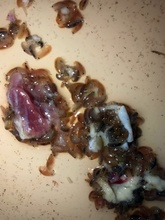 海で両足血まみれの少年、原因は肉食小型甲殻類？ 父親が写真公開