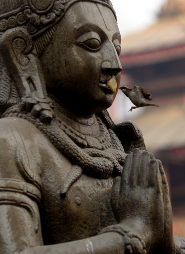 神像と口づけする小鳥、ネパール
