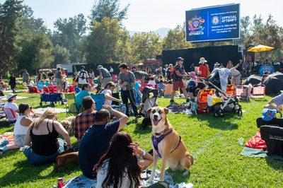 「219匹わんちゃん」そろって映画観賞 世界最多でギネス更新 LA