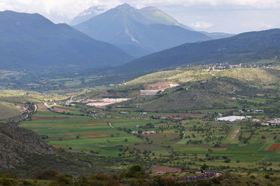 希少なマルシカヒグマの母グマ射殺、当局とNGOが非難 伊