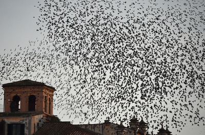 恵みの雨が一転、はた迷惑な落とし物 伊ローマ