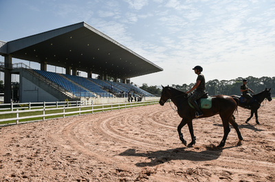 リオ五輪の馬術会場近くで伝染病が発覚、ブラジル農務省が調査へ