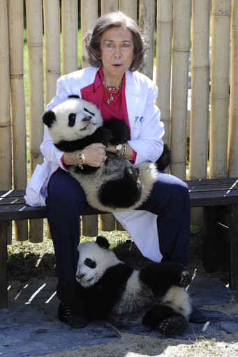 ソフィア王妃も双子パンダにメロメロ