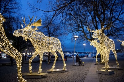 スウェーデンの首都に現れたLED電飾のヘラジカ
