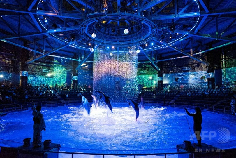 イルカとのコラボは必見！ 都市型水族館で「ネイキッド」による体感型イベント