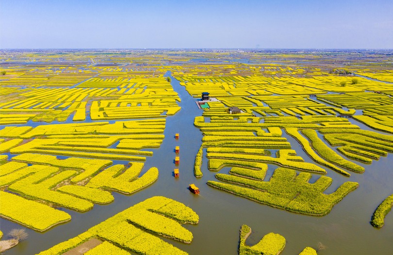 江蘇省の興化垜田、世界かんがい施設遺産に登録 写真4枚 国際ニュース：AFPBB News