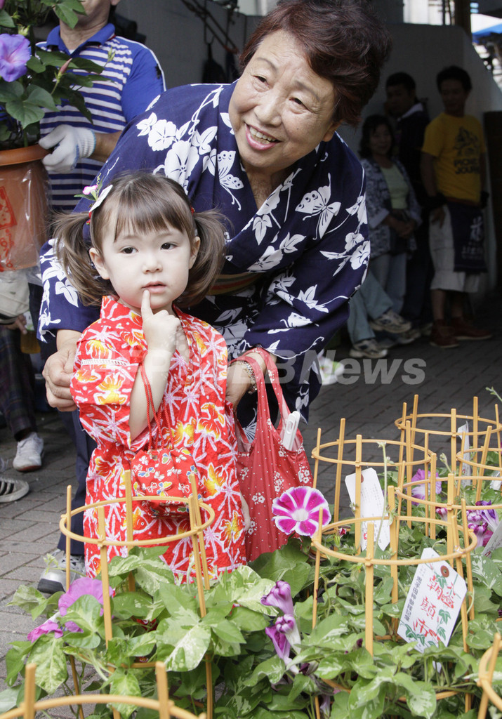 初夏恒例 朝顔市始まる 東京 写真6枚 国際ニュース Afpbb News