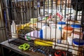 タイ・バンコクの郊外にある野良犬の保護施設で、おりの中に置かれた医薬品（2020年4月6日撮影）。(c)Mladen ANTONOV / AFP