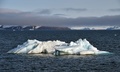 北極海のフランツヨシフ諸島の島（2021年8月20日撮影）。(c)Ekaterina ANISIMOVA / AFP
