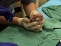米首都ワシントンのスミソニアン国立動物園で誕生したパンダの双子のうち、後に生まれた赤ちゃんを検査する獣医師ら。同園提供（2015年8月23日提供）。(c)AFP/SMITHSONIAN&apos;S NATIONAL ZOO