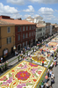イタリア・ローマ（Rome）南部にあるジェンツァーノ（Genzano）で開催された、花びらじゅうたんの祭り「infiorata（インフィオラータ）」に出品された作品（2008年6月15日撮影）。(c)AFP/Tiziana Fabi