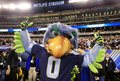 13NFL第48回スーパーボウル（Super Bowl XLVIII）、デンバー・ブロンコス（Denver Broncos）対シアトル・シーホークス（Seattle Seahawks）。優勝を喜ぶシアトル・シーホークスのマスコット（2014年2月2日撮影）。(c)AFP/Getty Images/Jamie Squire