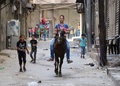シリア北部アレッポで、停戦発効の初日に道路で遊ぶ少年たち（2016年9月13日撮影）。(c)AFP/ THAER MOHAMMED