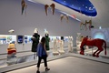 ギリシャ・アテネの五輪博物館を訪れた女性（2021年5月25日撮影）。(c)Aris MESSINIS / AFP
