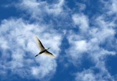 バーチャルな青空で輝く未来のオフィス、情報技術見本市「CeBIT」で公開